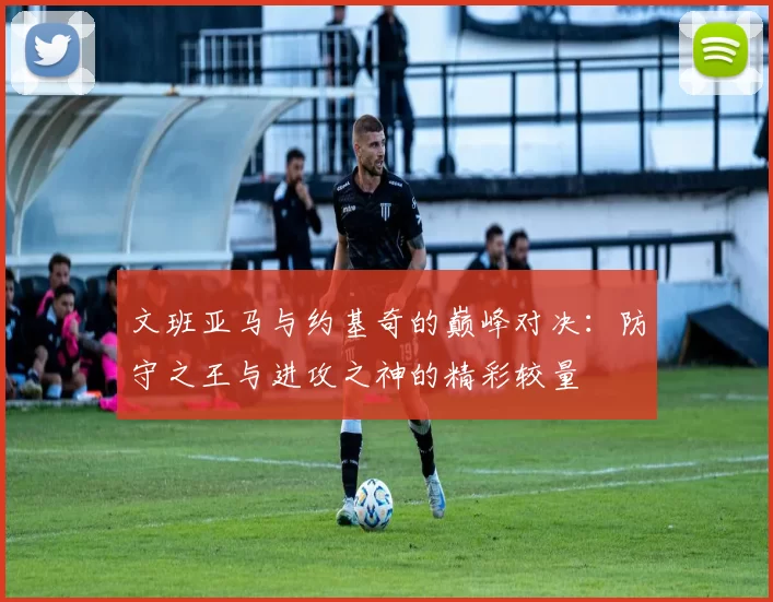 文班亚马与约基奇的巅峰对决：防守之王与进攻之神的精彩较量