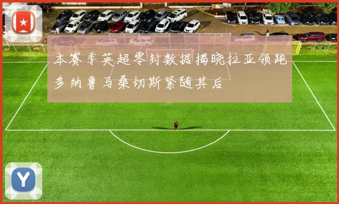 本赛季英超零封数据揭晓拉亚领跑多纳鲁马桑切斯紧随其后