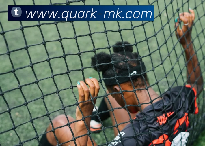 MK体育发展历程