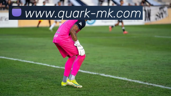 斯基拉报道奥林匹亚科斯欲引进齐米卡斯加斯佩里尼不再考虑其未来